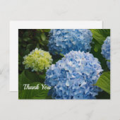 Floral Blue Hydrangea Foto Vielen Dank Postkarte (Vorne/Hinten)