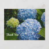 Floral Blue Hydrangea Foto Vielen Dank Postkarte (Vorderseite)