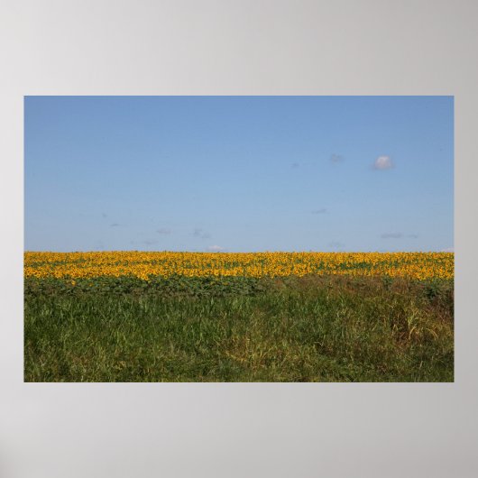 Floral Blur Poster (Vorne)