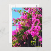 Floral Bougainvillea Cascade Postkarte (Vorne/Hinten)