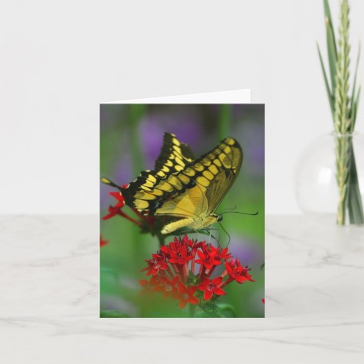 Floral Butterfly Karte (Vorderseite)