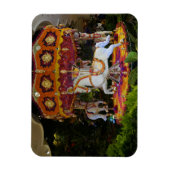 Floral Carousel Wynn Las Vegas Foto Magnet (Vertikal)