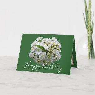 Floral Chic Bouquet White Spirea Bluoral Geburtsta Karte