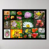 Floral Collage #2 Poster (Vorne)