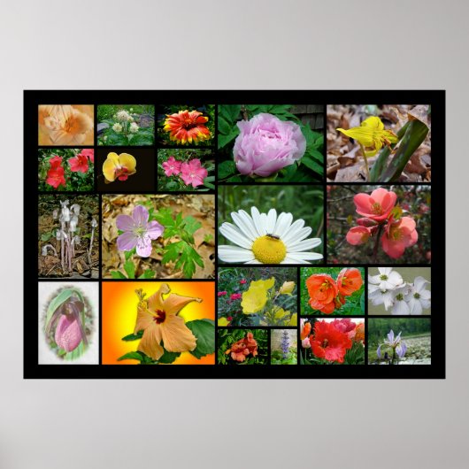 Floral Collage #2 Poster (Vorne)