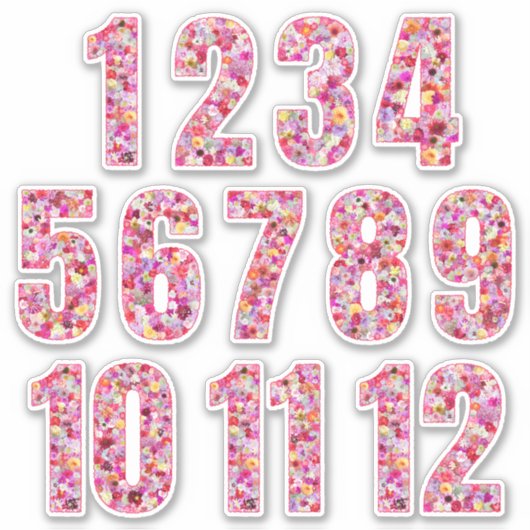 Floral Colorful Twelve Months Botanical Pinkish Aufkleber (Vorderseite)