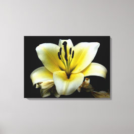 Floral Custom 24 X 18 Leinwand