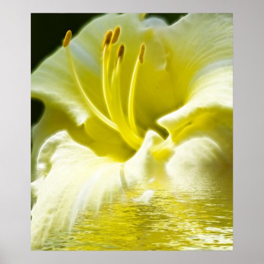 Floral Digital Art Poster (Vorne)