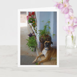Floral Dog Portrait Karte