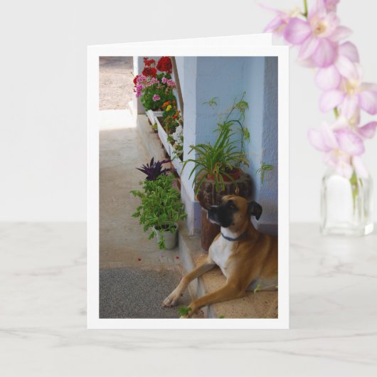 Floral Dog Portrait Karte (Orchidee)