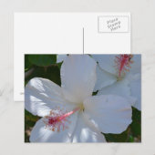 Floral Duft Postkarte (Vorne/Hinten)