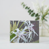 Floral Duft Postkarte (Stehend Vorderseite)