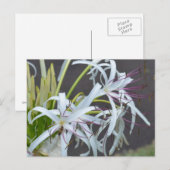Floral Duft Postkarte (Vorne/Hinten)