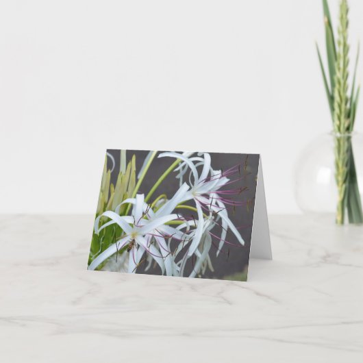 Floral-Duftkarte Feiertagskarte (Vorderseite)