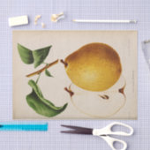 Floral Ephemera Decoupage Gelbe Birne Seidenpapier (Handwerk)