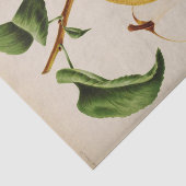 Floral Ephemera Decoupage Gelbe Birne Seidenpapier (Ausschnitt)