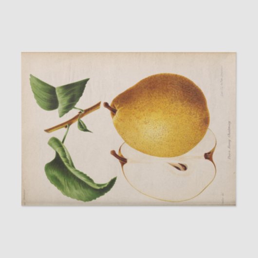 Floral Ephemera Decoupage Gelbe Birne Seidenpapier (Vorderseite)