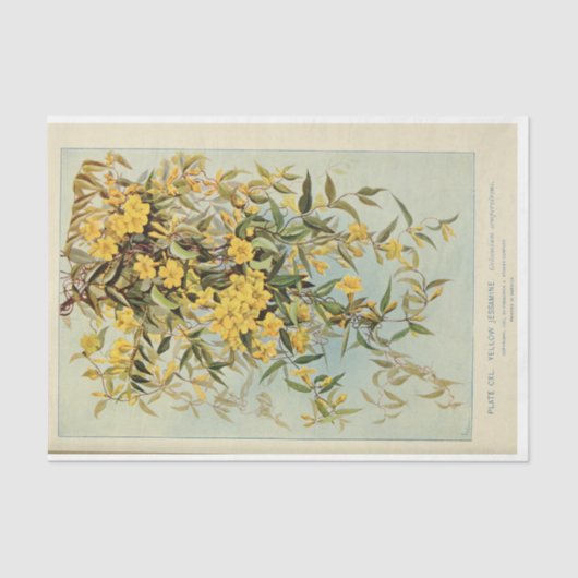 Floral Ephemera Decoupage Jasmine Sunflowers Seidenpapier (Vorderseite)