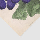 Floral Ephemera Decoupage Lila französische Blume Seidenpapier (Detail)