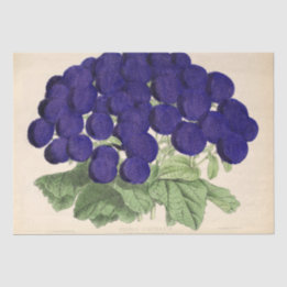 Floral Ephemera Decoupage Lila französische Blume Seidenpapier