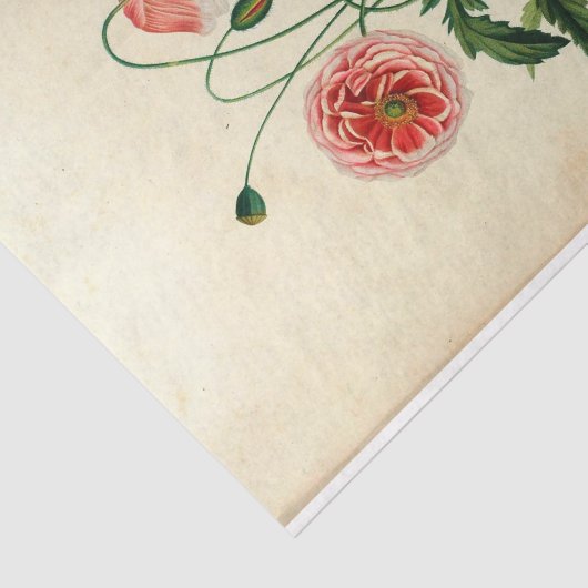 Floral Ephemera Decoupage Pink Blume Seidenpapier (Ausschnitt)