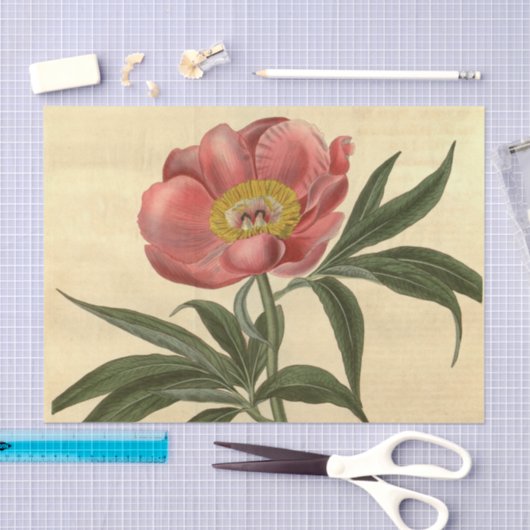 Floral Ephemera Decoupage Pink Blume Seidenpapier (Handwerk)