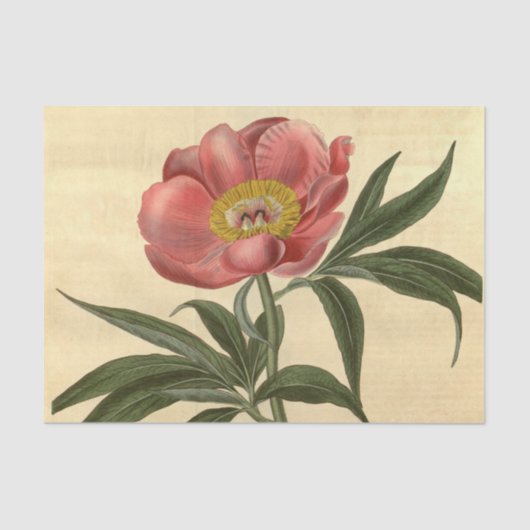 Floral Ephemera Decoupage Pink Blume Seidenpapier (Vorderseite)