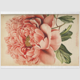Floral Ephemera Decoupage Pink Peony Seidenpapier