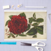Floral Ephemera Decoupage Rote Rose Seidenpapier (Handwerk)