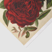 Floral Ephemera Decoupage Rote Rose Seidenpapier (Ausschnitt)