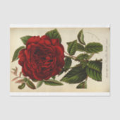 Floral Ephemera Decoupage Rote Rose Seidenpapier (Vorderseite)
