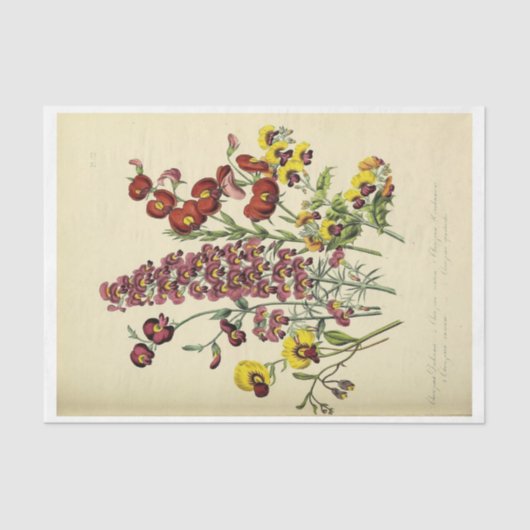 Floral Ephemera Decoupage Yellow Purple Blumen Seidenpapier (Vorderseite)