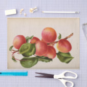 Floral Ephemere Decoupage Pink Peach Seidenpapier (Handwerk)