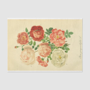 Floral Ephemere Decoupage White Pink Roses Seidenpapier