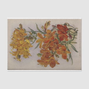 Floral Ephemere Decoupage Yellow Orange Seidenpapier