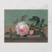 Floral Fine Art Pink Rosa Postkarte (Vorderseite)