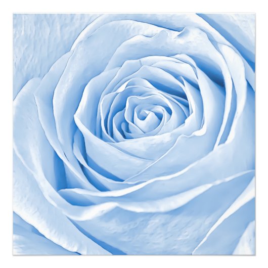 Floral Foto Dainty Light Blue Rose (Vorne)