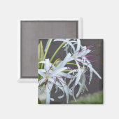 Floral Fragrance Magnet (Vorderseite/Rückseite)