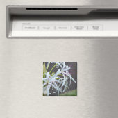 Floral Fragrance Magnet (In Situ (Geschirrspüler))