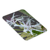 Floral Fragrance Magnet (Rechte Seite)