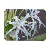 Floral Fragrance Magnet (Horizontal)
