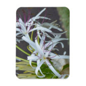 Floral Fragrance Magnet (Vertikal)