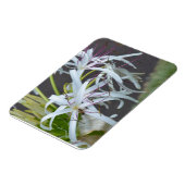 Floral Fragrance Magnet (Linke Seite)