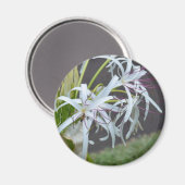 Floral Fragrance Magnet (Vorderseite/Rückseite)