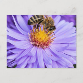 Floral Garden Park Peace Liebe Postkarte