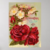 Floral Gem 1897 Rose Vintage Blume Werbung Poster (Vorne)