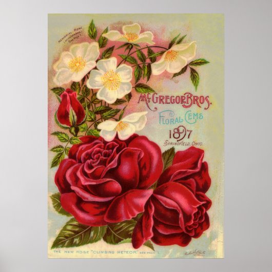 Floral Gem 1897 Rose Vintage Blume Werbung Poster (Vorne)