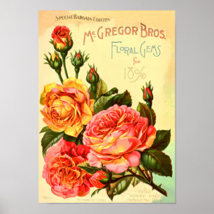 Floral Gemeine Rose Vintager Saatkatalogüberzug Poster