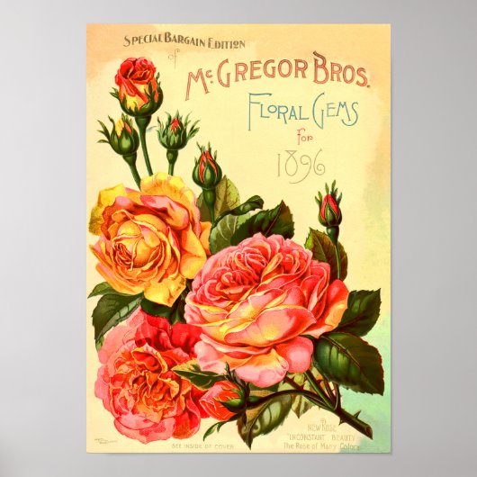 Floral Gemeine Rose Vintager Saatkatalogüberzug Poster (Vorne)