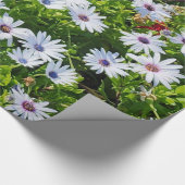 floral geschenkpapier (Ecke)